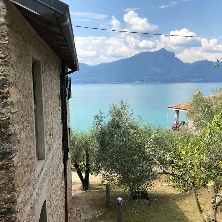 Fiordolivo